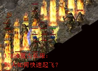 176������˽����ɢ����ο�����ɣ�