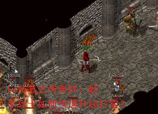 1.76���Ŵ���SF������սʿ��ο��������򱦣�