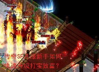 ����SF����������ο����������¸���