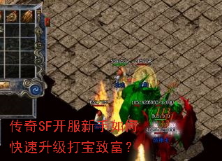 ����SF����������ο����������¸���