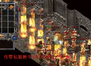 ����˽��������ο������ִ��