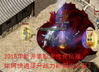 2018���¿���ְҵ����˽������ο�������ս���ưԷ�������