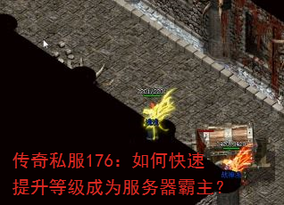 ����˽��176����ο��������ȼ���Ϊ������������