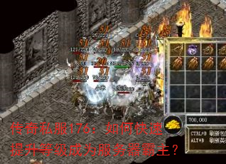 ����˽��176����ο��������ȼ���Ϊ������������