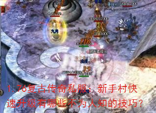 1.76���Ŵ���˽�������ִ������������Щ��Ϊ��֪�ļ��ɣ�