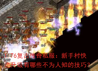 1.76���Ŵ���˽�������ִ������������Щ��Ϊ��֪�ļ��ɣ�