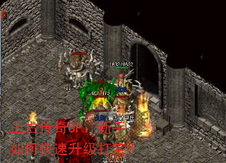 �ϹŴ���SF��������ο��������򱦣�