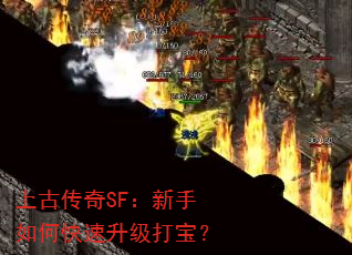 �ϹŴ���SF��������ο��������򱦣�