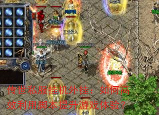 ����˽���һ���ң���θ�Ч���ýű�������Ϸ���飿