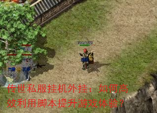 ����˽���һ���ң���θ�Ч���ýű�������Ϸ���飿