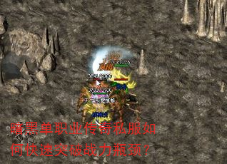 ���ڵ�ְҵ����˽����ο���ͻ��ս��ƿ����