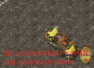 ��ʿ��ǿ�洫��˽������δ��似����װ��ʵ����ɱBOSS��