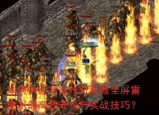 ��ο������մ���˽��ȫ���׵����ĸ�Ч������ʵս���ɣ�