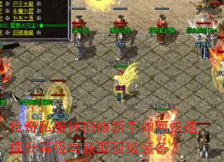 ����˽�����ɷ�������ο��������ȼ����ȡ����װ����