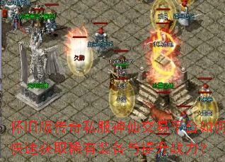 ���ɰ洫��˽�����ɽ���ƽ̨��ο��ٻ�ȡϡ��װ��������ս����