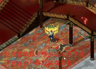 新神迹单职业服务端如何快速提升战力与获取稀有装备? 新神迹单职业服务端如何快速提升战力与获取稀有装备?