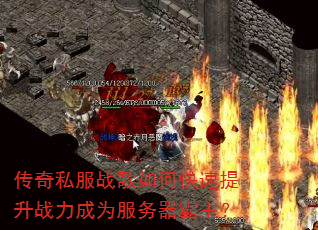 ����˽��ս����ο�������ս����Ϊ������������