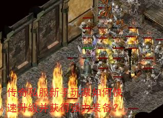 ����˽�����������ο������������ǿ��װ����