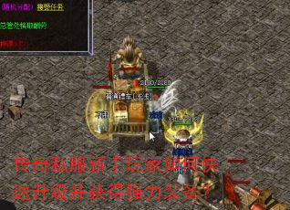 ����˽�����������ο������������ǿ��װ����