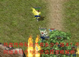 ��Ѫ����˽�����ж��ٸ��汾����ͬ�汾��ɫ���淨ѡ���Խ���