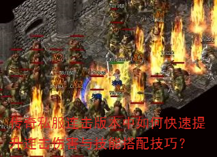 ����˽�������汾����ο������������˺��뼼�ܴ��似�ɣ�