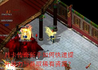 �¿�����������ο�������ս�����ȡϡ����Դ��