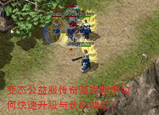 变态公益服传奇游戏新手如何快速升级与获取神装? 变态公益服传奇游戏新手如何快速升级与获取神装?