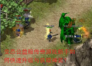 变态公益服传奇游戏新手如何快速升级与获取神装? 变态公益服传奇游戏新手如何快速升级与获取神装?