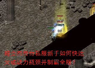 ����̬����˽��������ο���ͻ��ս��ƿ�����ư�ȫ����