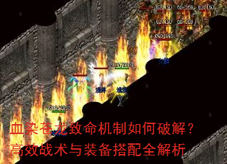 血染苍龙致命机制如何破解?高效战术与装备搭配全解析 血染苍龙致命机制如何破解?高效战术与装备搭配全解析