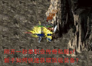 �տ�һ�뵥ְҵ����˽��sf������ο��ٻ�ȡ����װ����