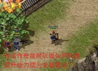 �ϻ�������������ο�������ս����Ϊȫ��������