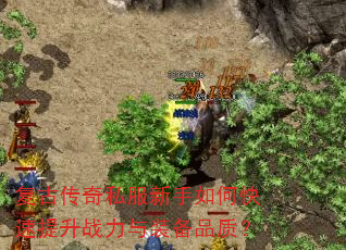 ���Ŵ���˽��������ο�������ս����װ��Ʒ�ʣ�