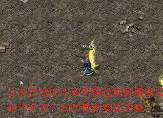 ��̬����SF����ο���ˢ��ϡ��װ����Ԫ����2025����ʵս����