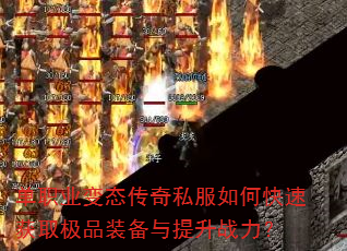 ��ְҵ��̬����˽����ο��ٻ�ȡ��Ʒװ��������ս����