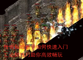 ����˽��������ο������ţ���֪���������Ч����