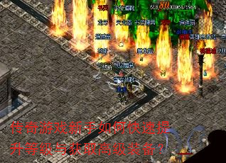 ������Ϸ������ο��������ȼ����ȡ�߼�װ����