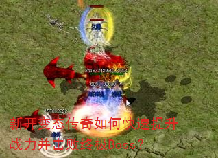 �¿���̬������ο�������ս���������ռ�Boss��