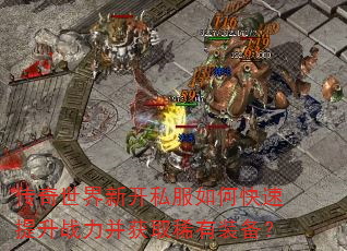 ���������¿�˽����ο�������ս������ȡϡ��װ����