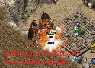 ����˽������θ�Ч��սBOSS����ȡϡ��װ����Դ��