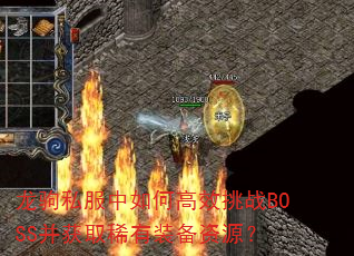 ����˽������θ�Ч��սBOSS����ȡϡ��װ����Դ��