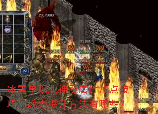 ��ѩ��ְҵ��ħ���Լӵ㼼����ս��������������Щ��