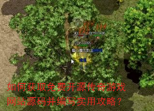 如何获取免费开源传奇游戏网站源码并编写实用攻略? 如何获取免费开源传奇游戏网站源码并编写实用攻略?