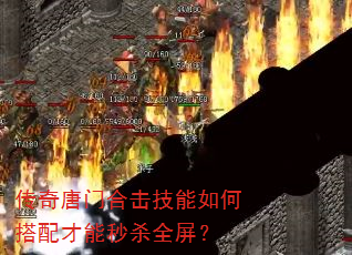 �������źϻ�������δ��������ɱȫ����