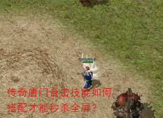 �������źϻ�������δ��������ɱȫ����