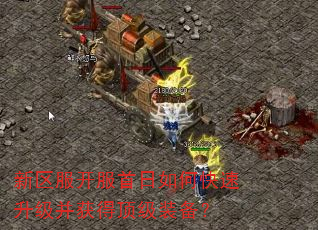 新区服开服首日如何快速升级并获得顶级装备? 新区服开服首日如何快速升级并获得顶级装备?