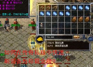 ����ڴ���˽���п���ˢװ����ư�ȫ����