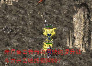 ���ºϻ�������ο�������ս�����������ռ�BOSS��