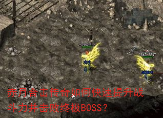 ���ºϻ�������ο�������ս�����������ռ�BOSS��