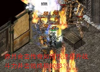 ���ºϻ�������ο�������ս�����������ռ�BOSS��